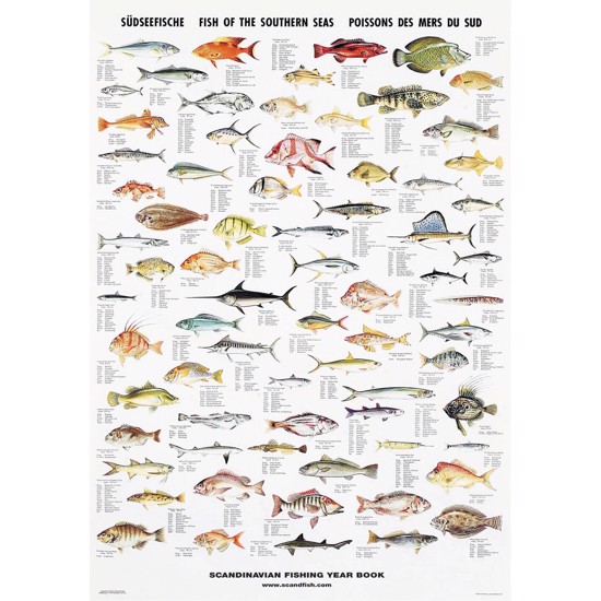 Plakat - Stillehavets Fisk - UDEN