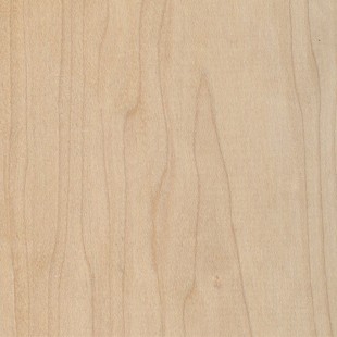 Ahorn - 52x52x300 mm