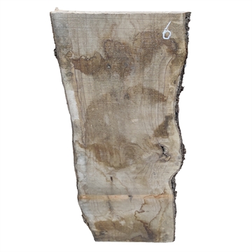 Oliven - 25x280x800 mm