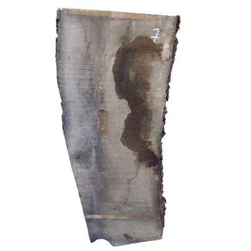 Oliven - 25x300x830 mm