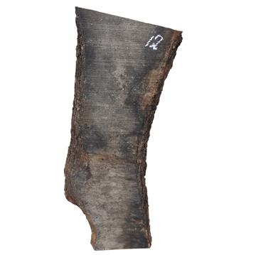 Oliven - 25x150x700 mm