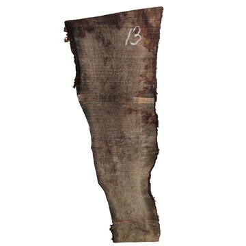 Oliven - 25x170x830 mm