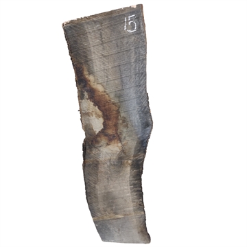 Oliven - 25x200x900 mm