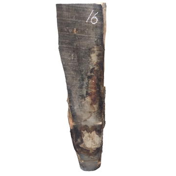 Oliven - 25x130x920 mm