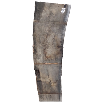 Oliven - 25x300x1200 mm