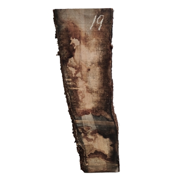 Oliven - 25x170x780 mm