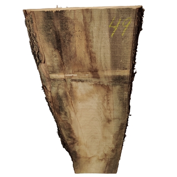 Oliven - 40x270x880 mm