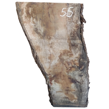 Oliven - 60x240x680 mm