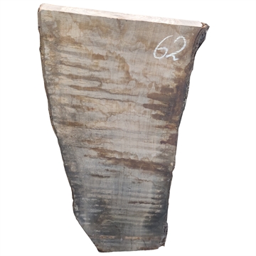 Oliven - 60x280x820 mm