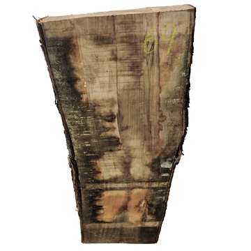 Oliven - 60x250x710 mm