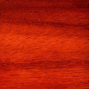 Padouk - 52x100x500 mm