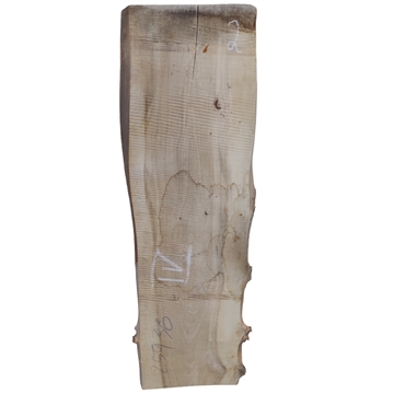 Elm Planke - 52x350x1250 mm