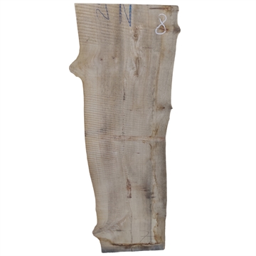 Elm Planke - 52x370x1250 mm