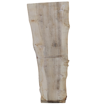 Elm Planke - 52x300x1250 mm