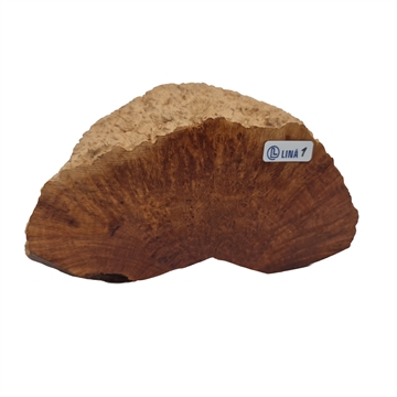 Bruyere rod - XL