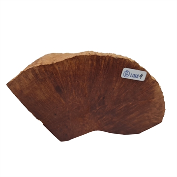 Bruyere rod - XL