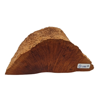 Bruyere rod - XL