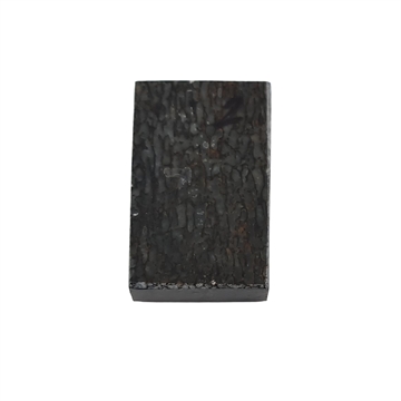 Dinosaurus knogle 10,0 mm - Stabiliseret