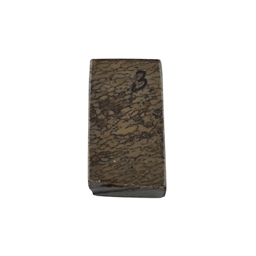 Dinosaurus knogle 10,0 mm - Stabiliseret