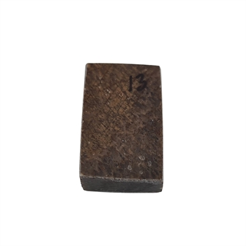 Dinosaurus knogle 10,0 mm - Stabiliseret