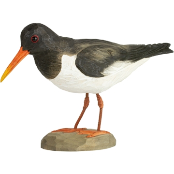 Træfugl Wildlife -  Strandskade