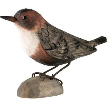 Træfugl Wildlife -  Vandstær