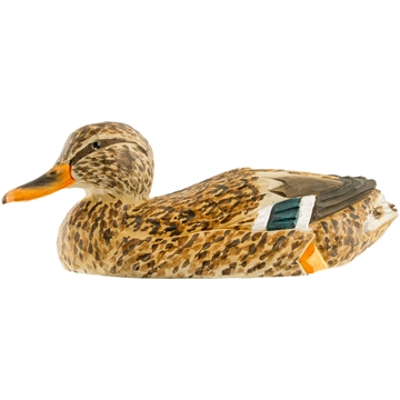 Træfugl Wildlife -  Gråand Hun