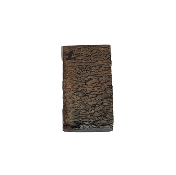 Dinosaurus knogle 6,0 mm - Stabiliseret