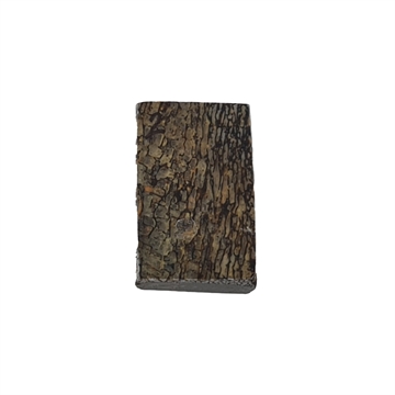 Dinosaurus knogle 6,0 mm - Stabiliseret