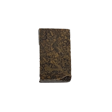Dinosaurus knogle 6,0 mm - Stabiliseret