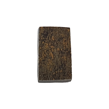Dinosaurus knogle 6,0 mm - Stabiliseret