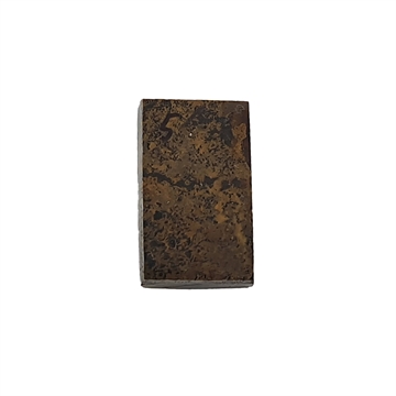 Dinosaurus knogle 6,0 mm - Stabiliseret