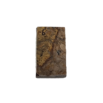 Dinosaurus knogle 6,0 mm - Stabiliseret