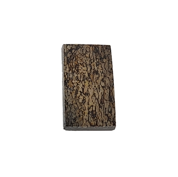 Dinosaurus knogle 6,0 mm - Stabiliseret