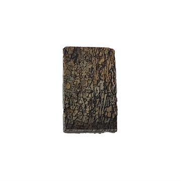 Dinosaurus knogle 6,0 mm - Stabiliseret