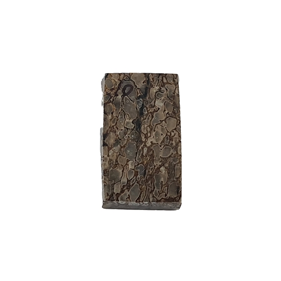 Dinosaurus knogle 6,0 mm - Stabiliseret
