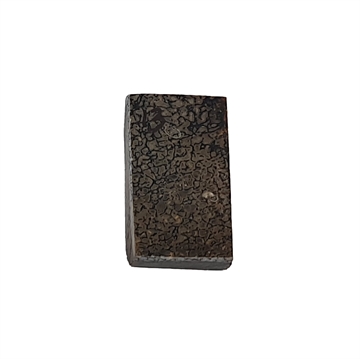 Dinosaurus knogle 6,0 mm - Stabiliseret