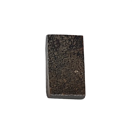 Dinosaurus knogle 6,0 mm - Stabiliseret