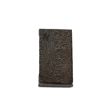 Dinosaurus knogle 6,0 mm - Stabiliseret