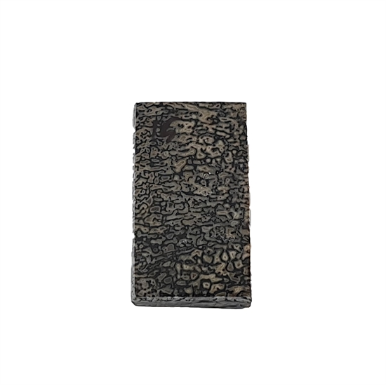 Dinosaurus knogle 6,0 mm - Stabiliseret