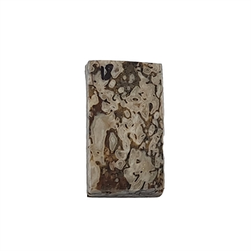 Dinosaurus knogle 6,0 mm - Stabiliseret