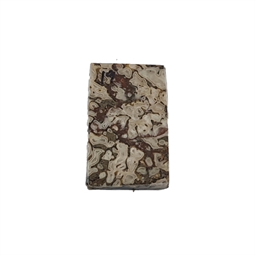 Dinosaurus knogle 6,0 mm - Stabiliseret