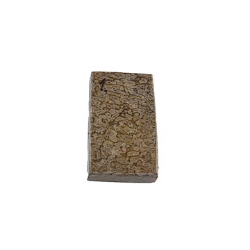 Dinosaurus knogle 10,0 mm - Stabiliseret