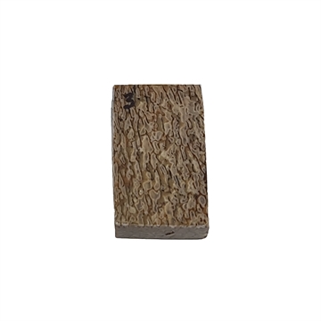 Dinosaurus knogle 10,0 mm - Stabiliseret