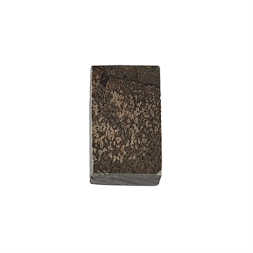 Dinosaurus knogle 10,0 mm - Stabiliseret