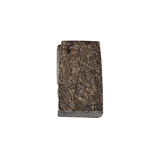 Dinosaurus knogle 10,0 mm - Stabiliseret