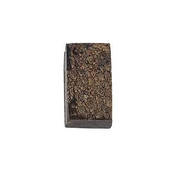Dinosaurus knogle 10,0 mm - Stabiliseret