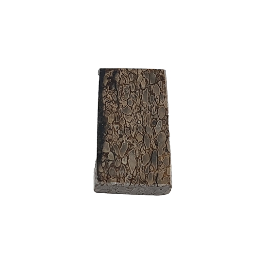 Dinosaurus knogle 10,0 mm - Stabiliseret