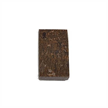 Dinosaurus knogle 10,0 mm - Stabiliseret