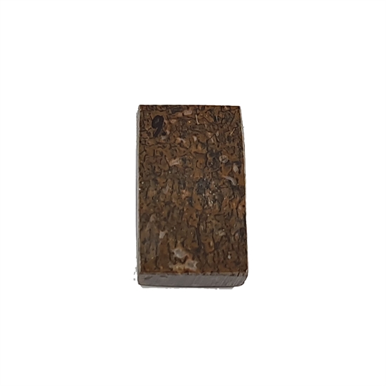 Dinosaurus knogle 10,0 mm - Stabiliseret